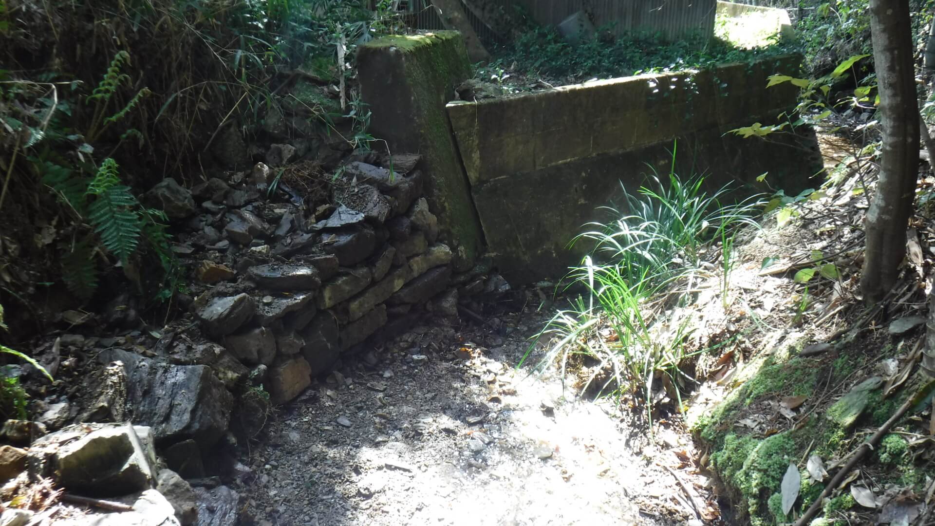 朝田地区水路土砂撤去