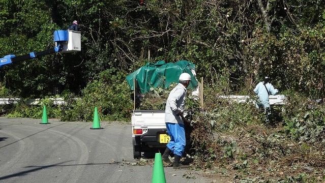 草刈・伐採